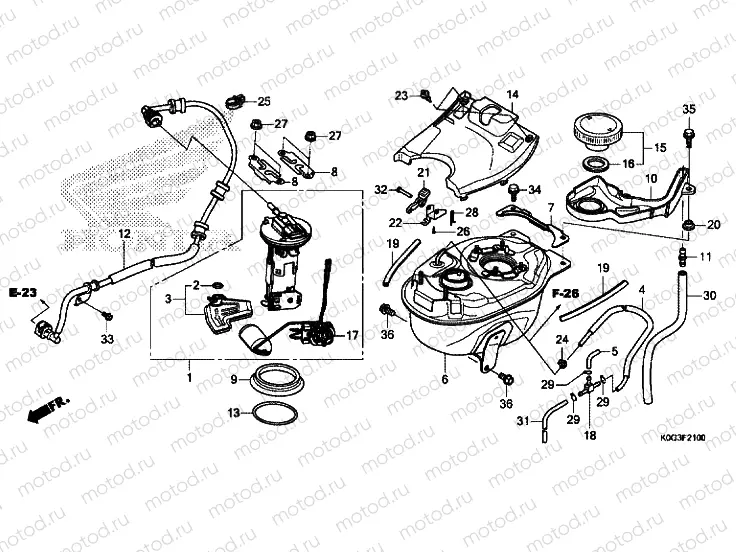 FUEL TANK / FUEL PUMP