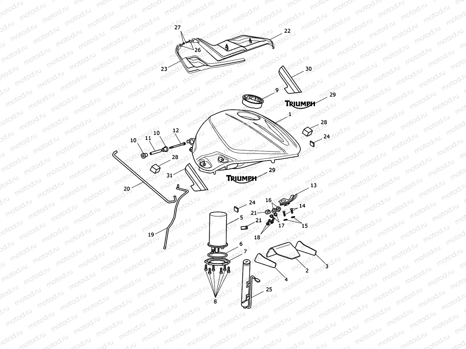 Fuel Tank, Fuel Pump & Fittings