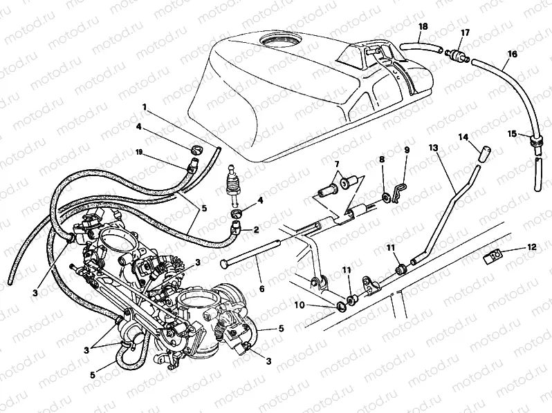FUEL TANK PIPES » TANK/SEAT