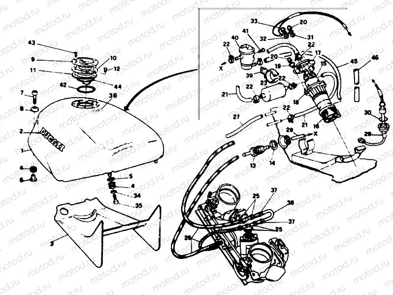 FUEL TANK » TANK/SEAT