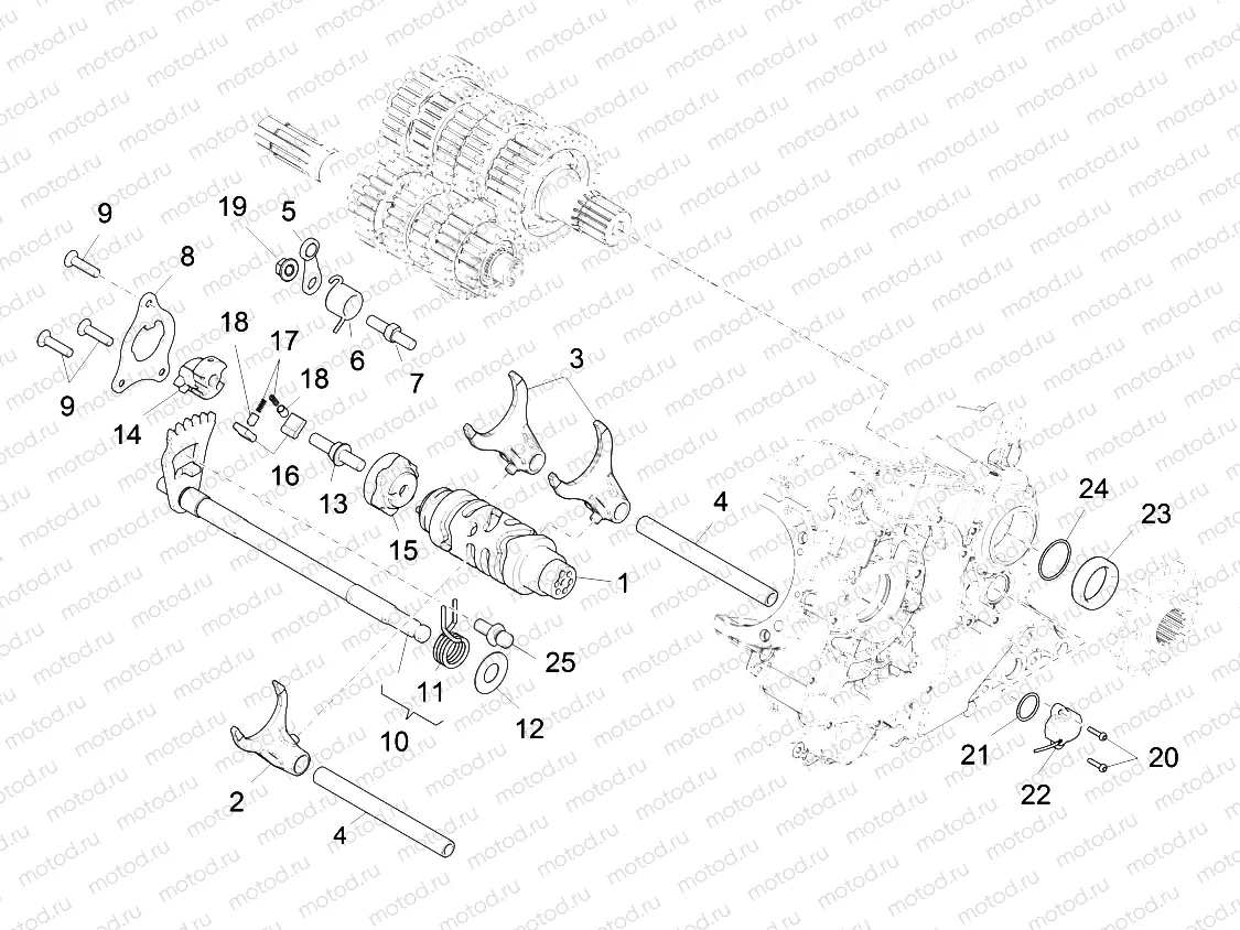 Gear box / Selector / Shift cam
