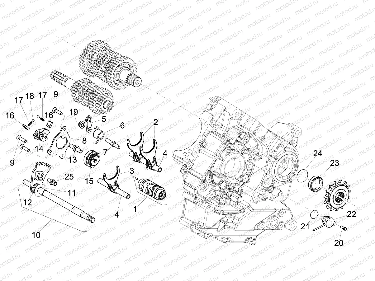 Gear box / Selector / Shift cam