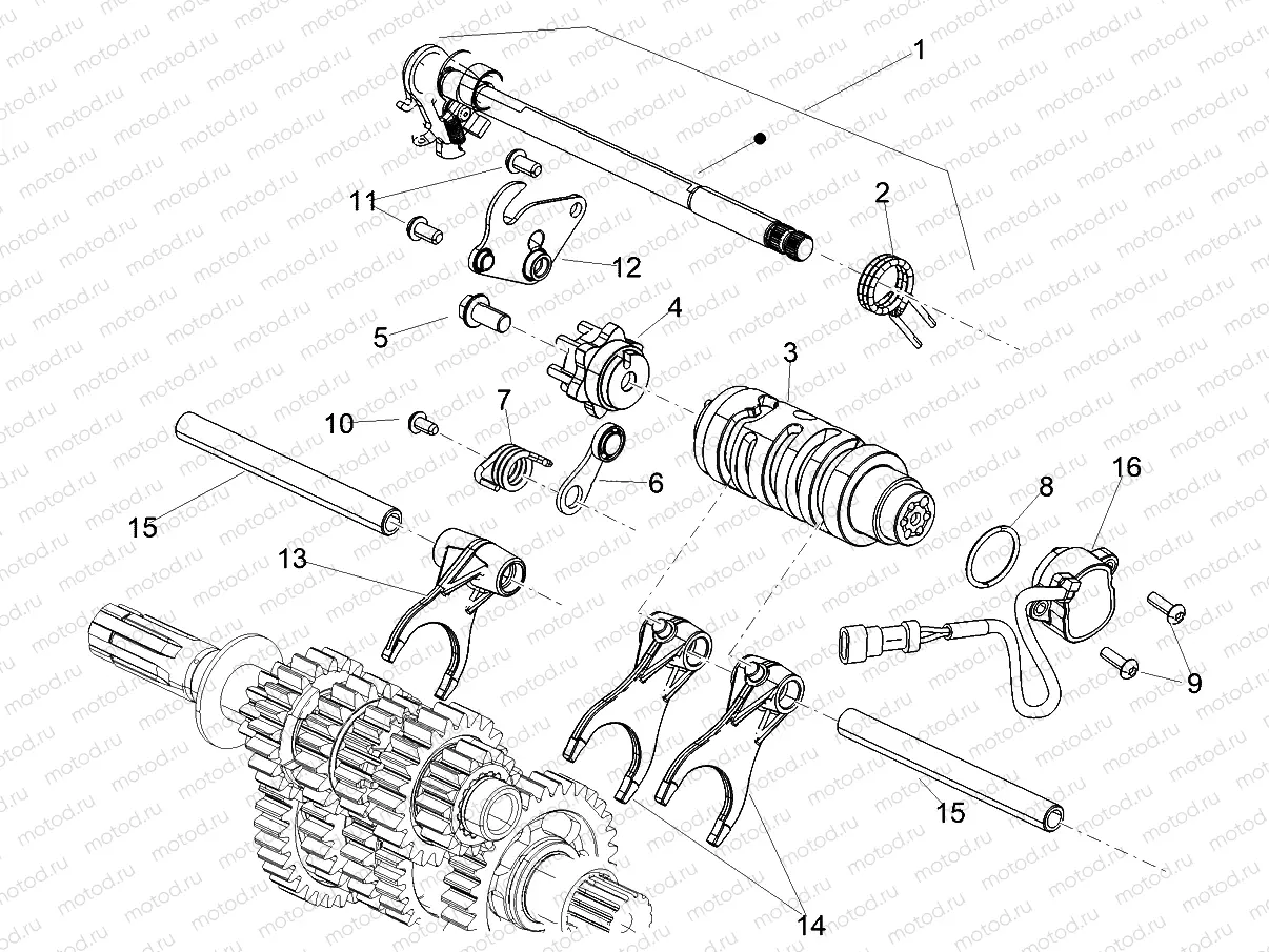 Gear box / Selector / Shift cam