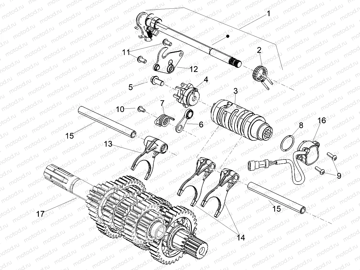 Gear box / Selector / Shift cam