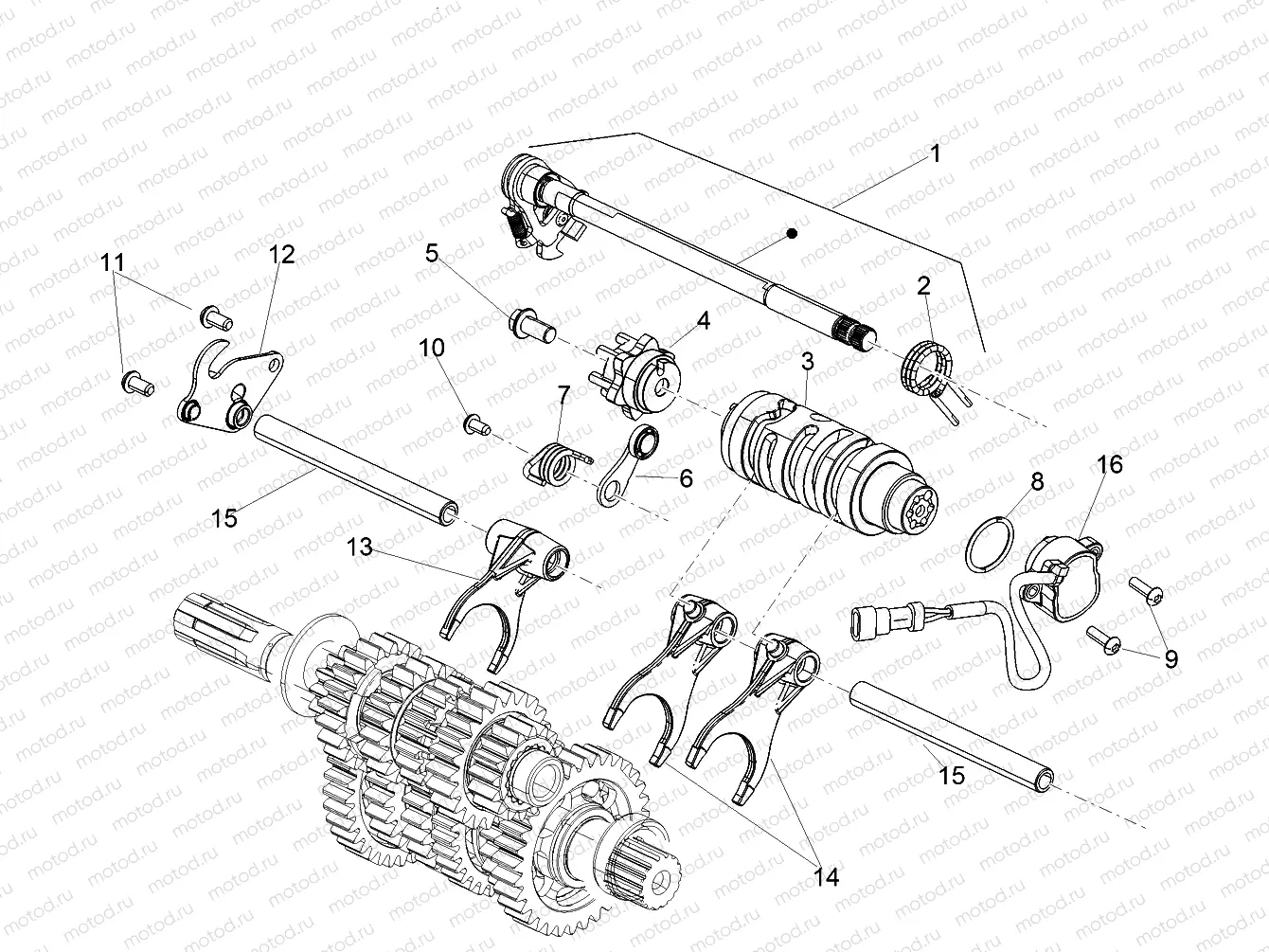 Gear box / Selector / Shift cam