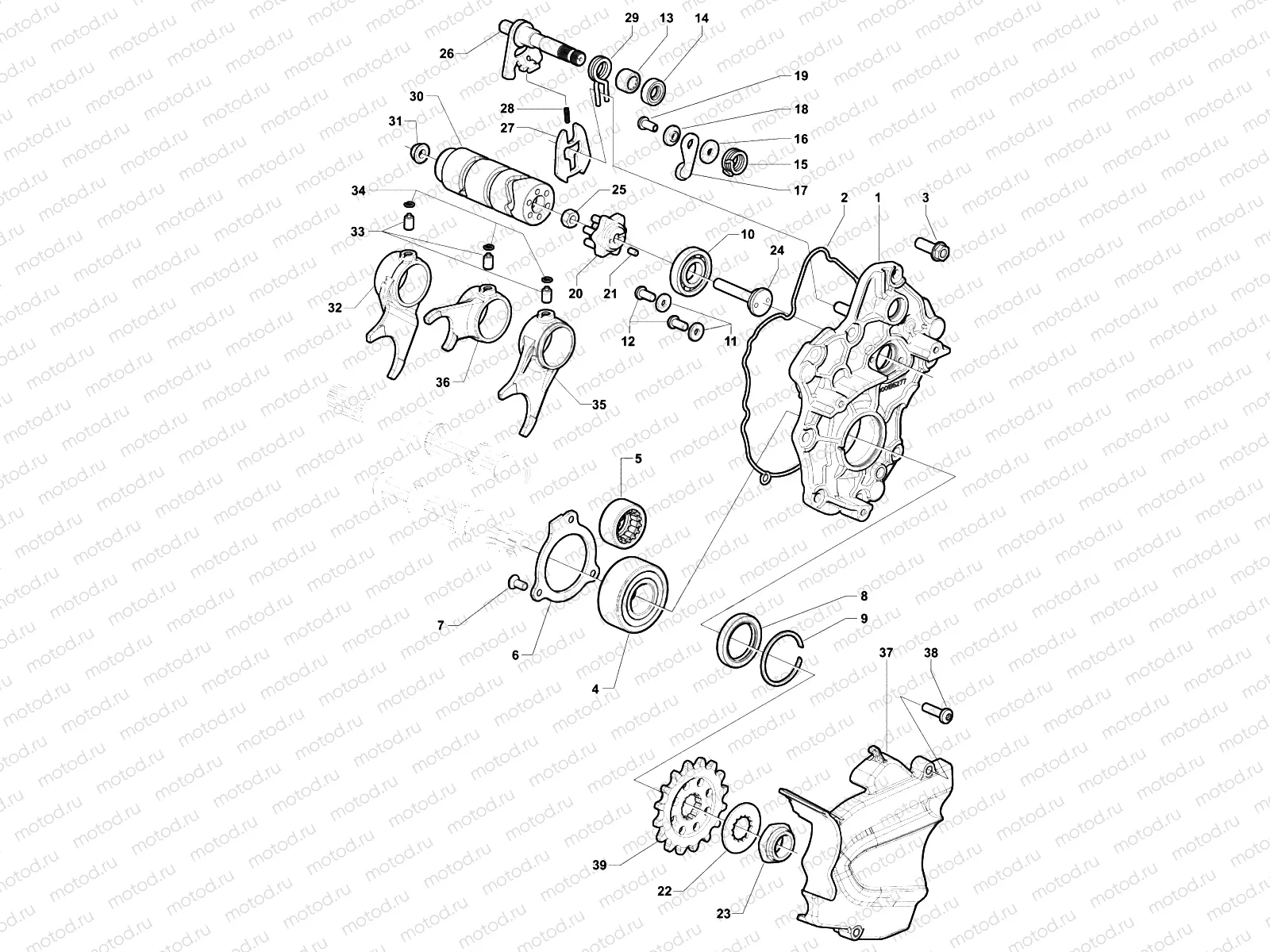 Gear Selector Assembly