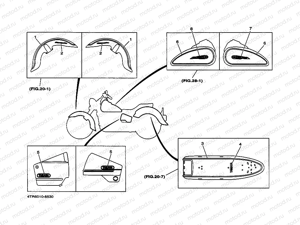 Graffiti. Emblem (4TR5)