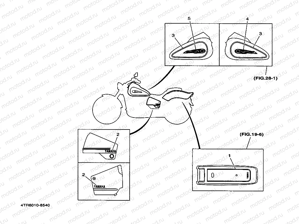 Graffiti. Emblem (4TR6)