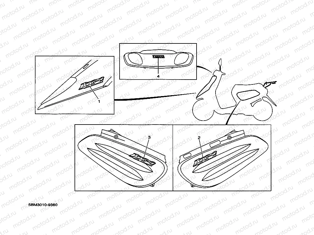 Graffiti. Emblem (5BM3)
