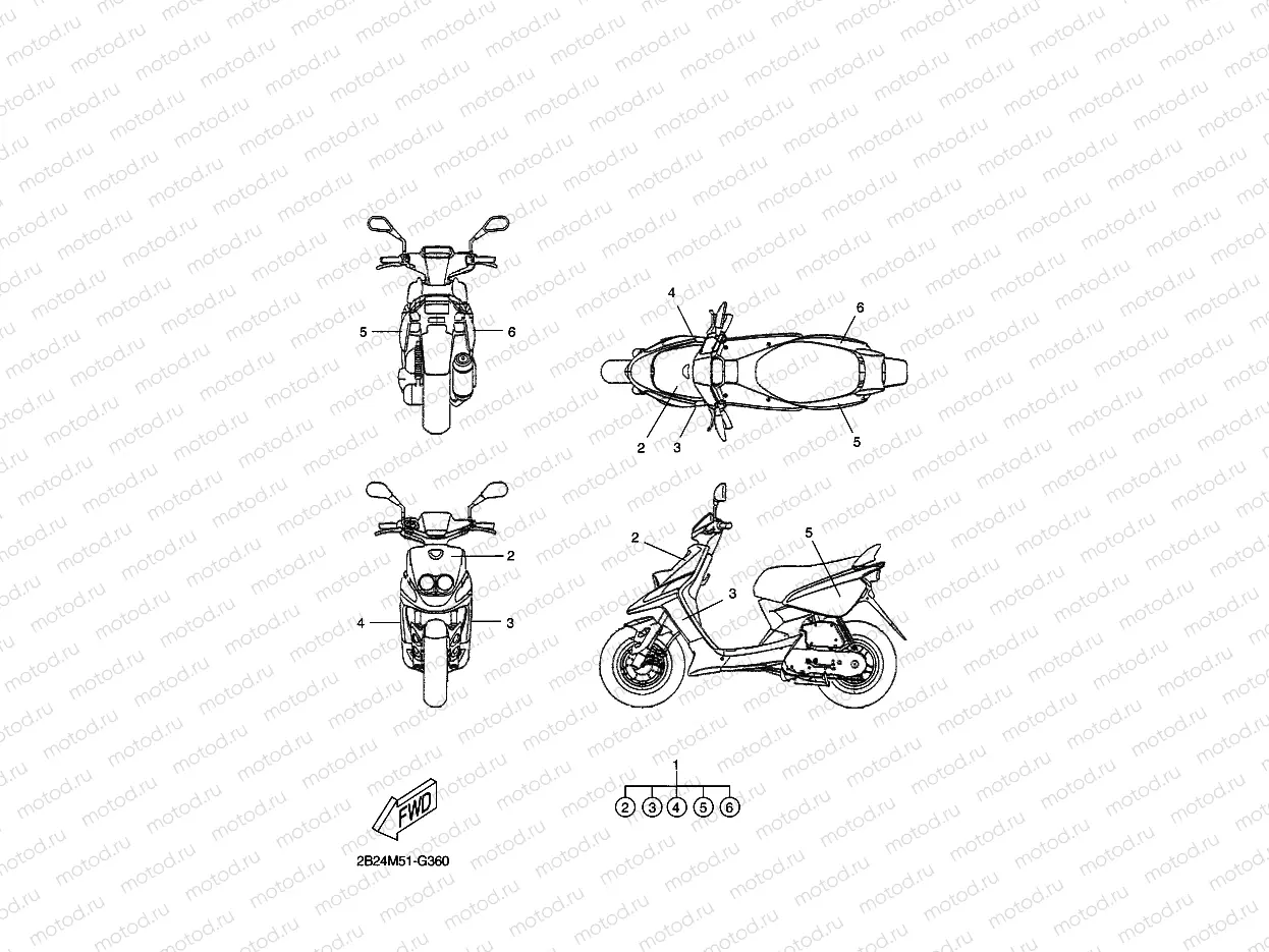 GRAPHIQUE ET EMBLEME