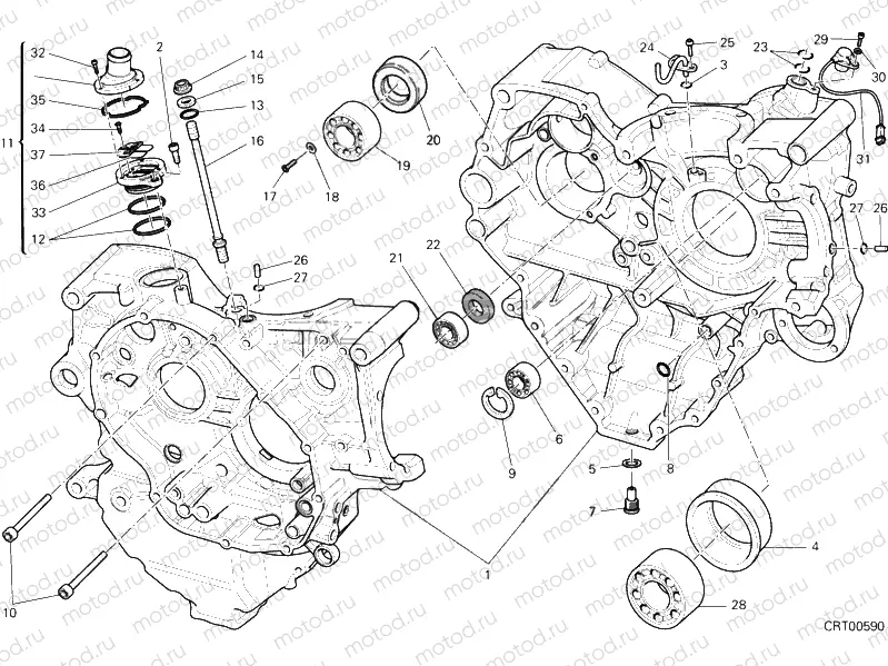 HALF-CRANKCASES PAIR » ENGINE CASE