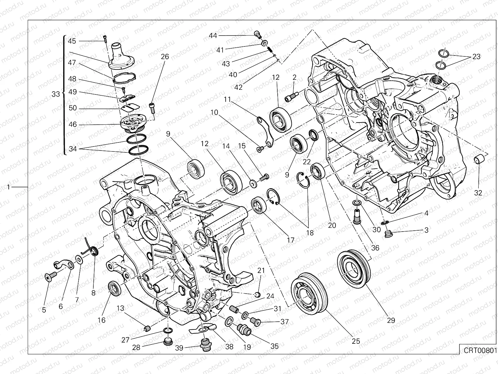 HALF-CRANKCASES PAIR [MOD:SCR800DS]