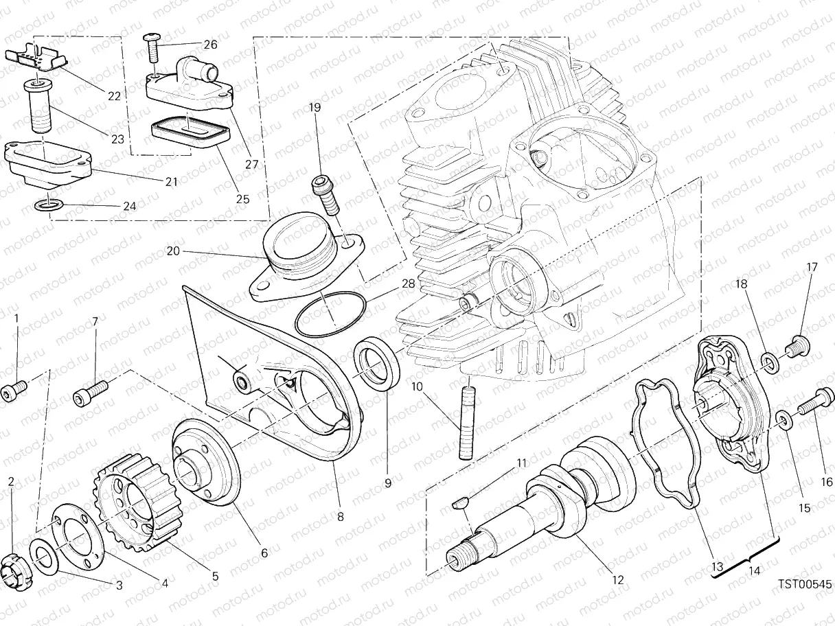 HEAD HORIZONTAL - DISTRIBUTION