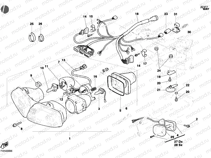 HEADLIGHT » LIGHTING SYSTEM