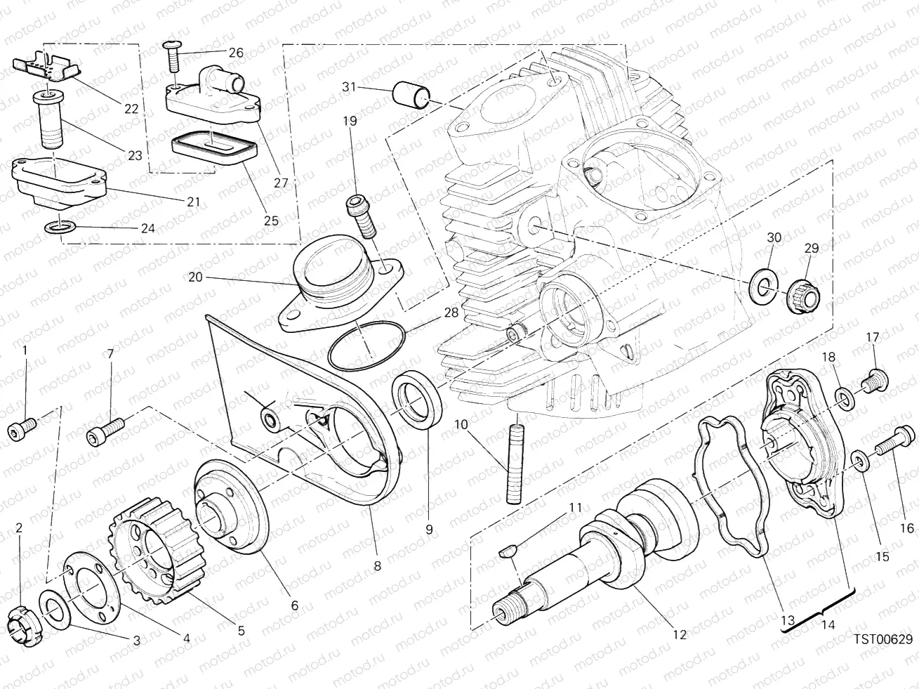 HORIZONTAL HEAD & TIMING SYSTEM