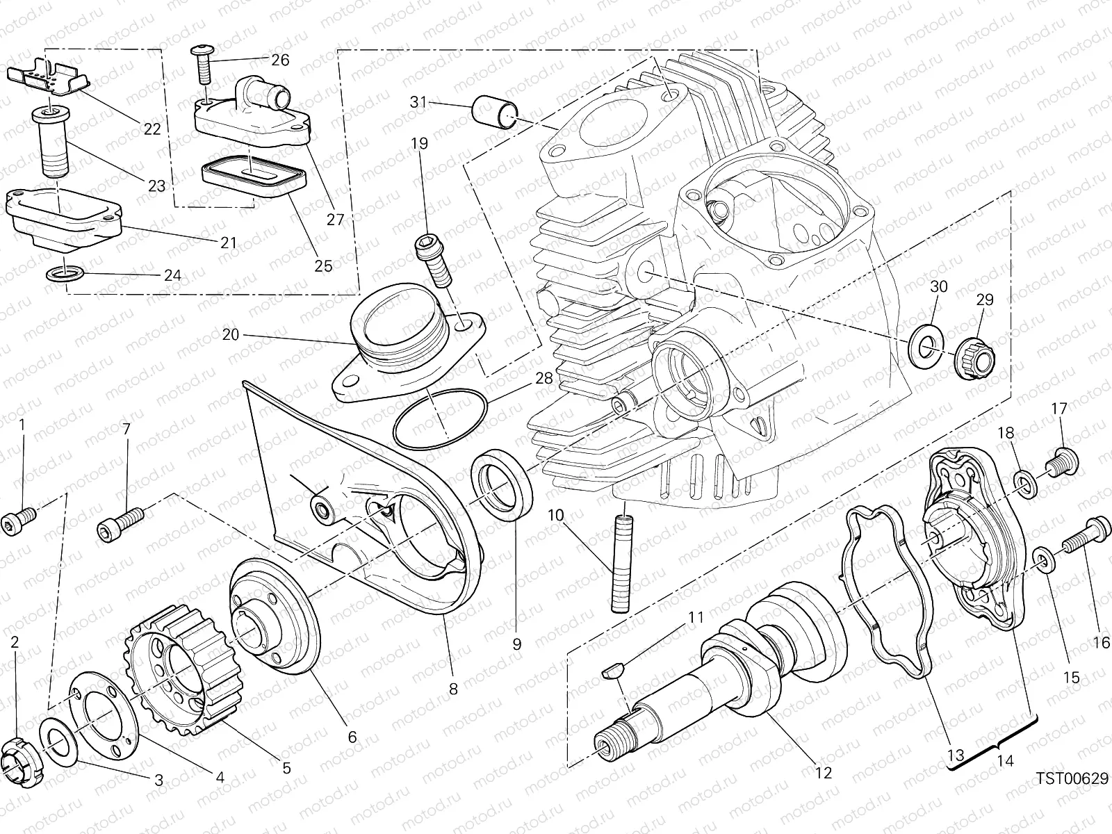 HORIZONTAL HEAD – TIMING SYSTEM [MOD:SCR800NS]