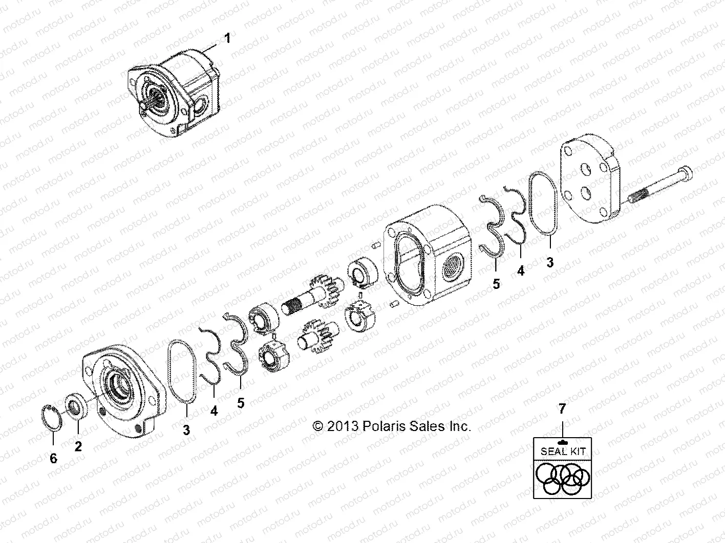 HYDRAULICS | HYDRAULICS, GEAR PUMP - D17B3/4PD1AJ (49BRUTUSPUMPGR13)