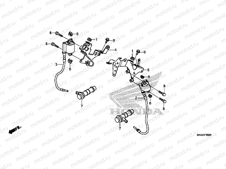 IGNITION COIL