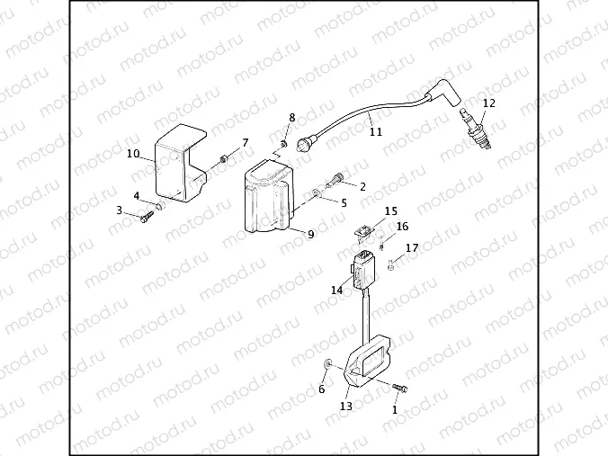 IGNITION MODULE & COIL