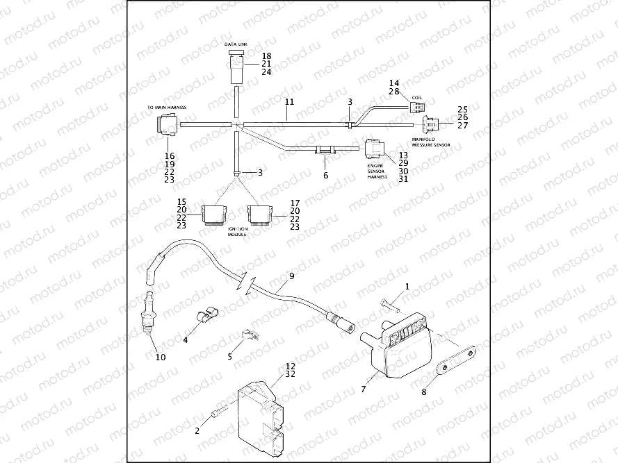 IGNITION MODULE & COIL