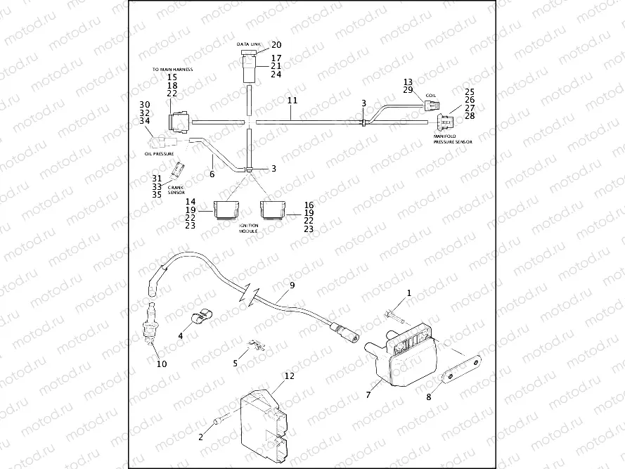 IGNITION MODULE & COIL
