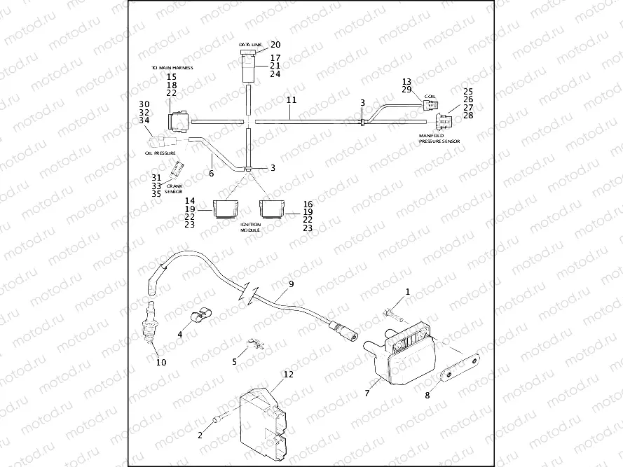 IGNITION MODULE & COIL