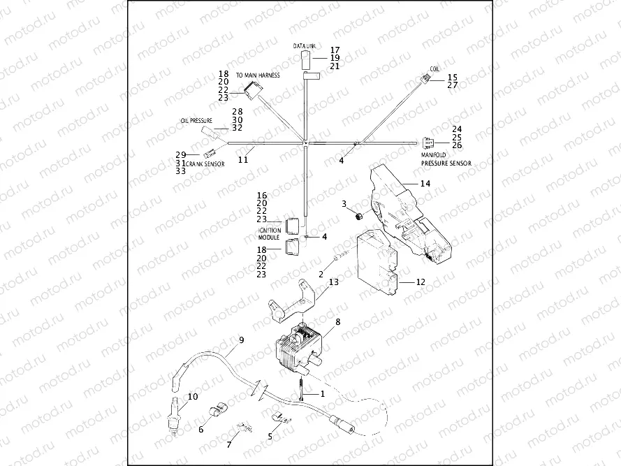 IGNITION MODULE & COIL