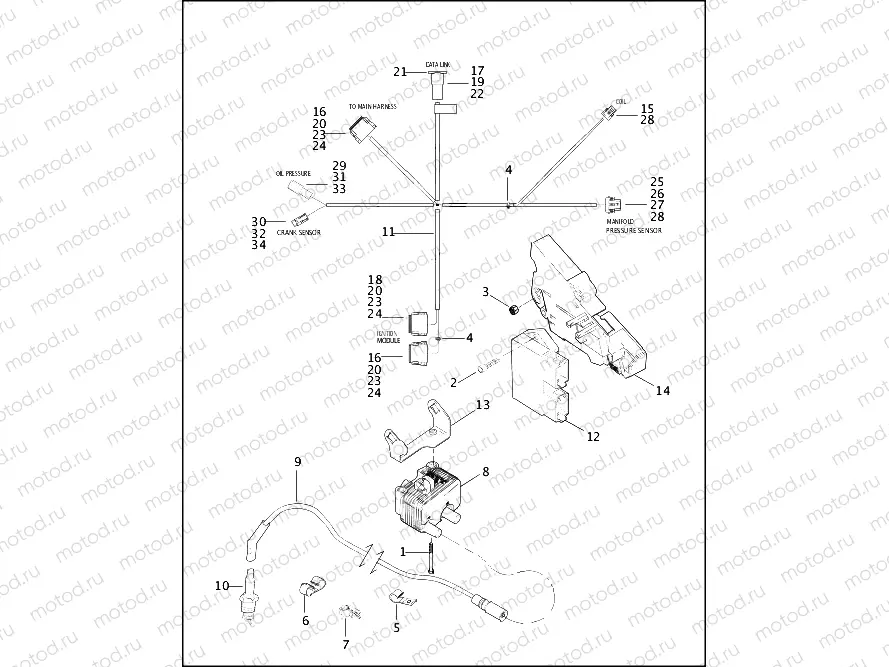 IGNITION MODULE & COIL