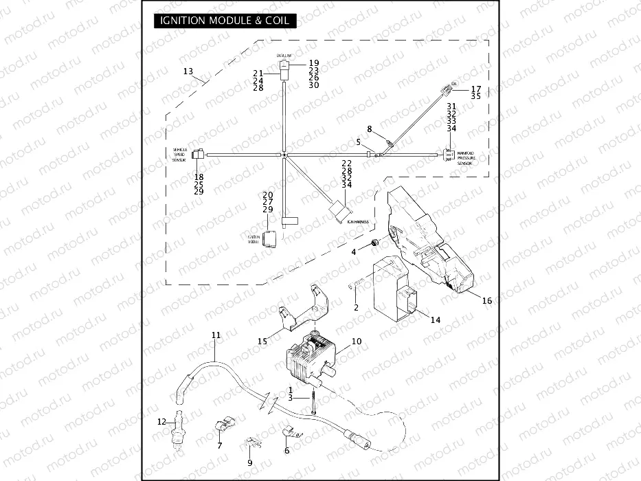 IGNITION MODULE & COIL