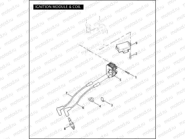 IGNITION MODULE & COIL