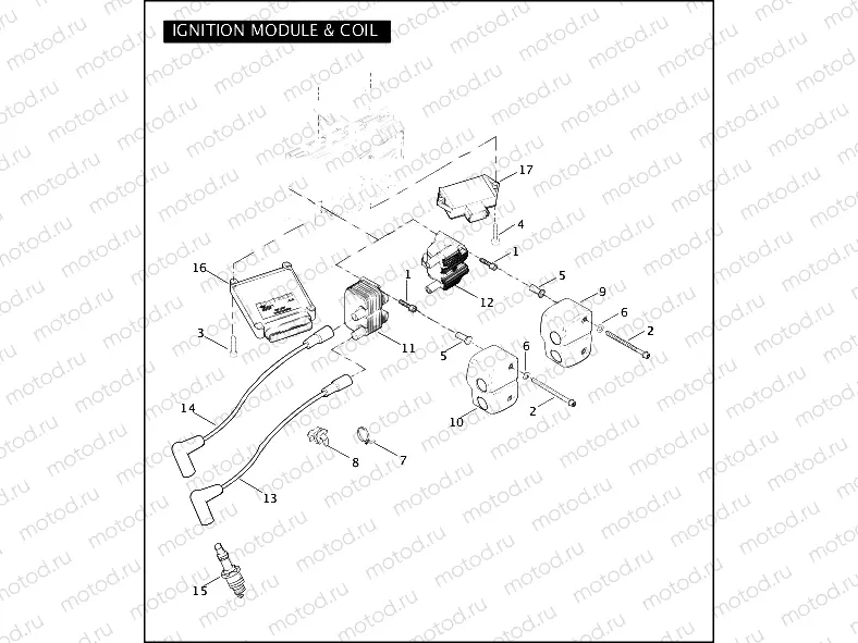 IGNITION MODULE & COIL