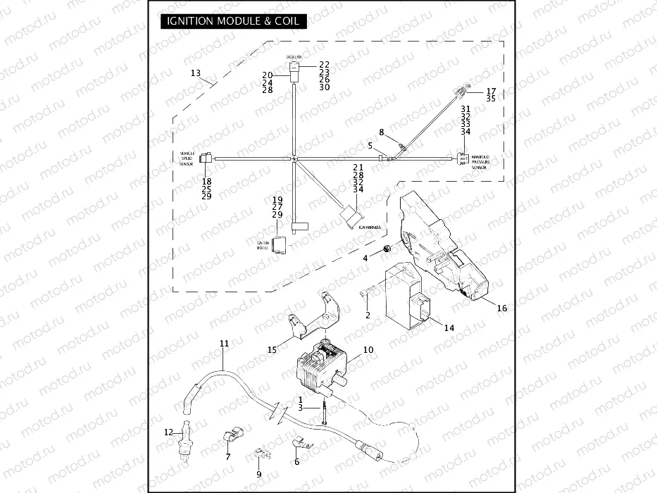 IGNITION MODULE & COIL
