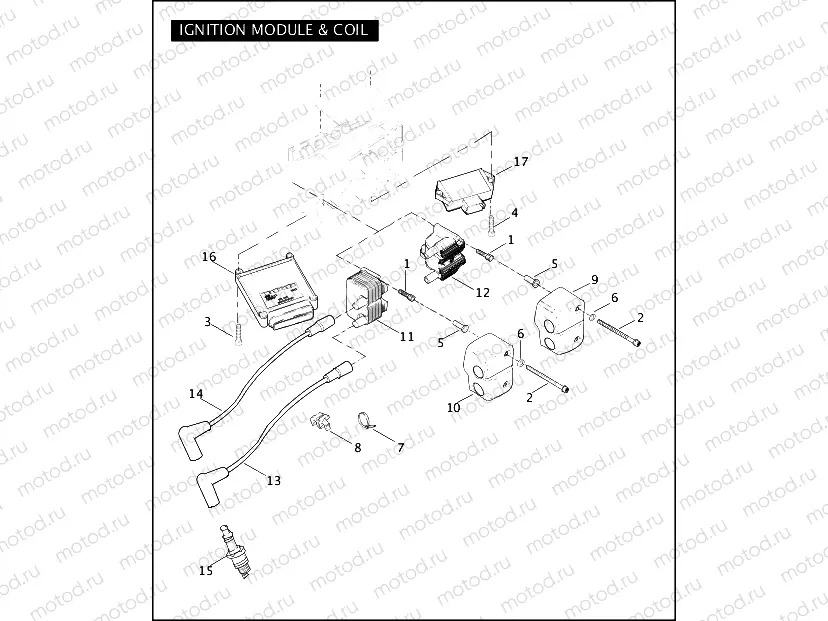 IGNITION MODULE & COIL