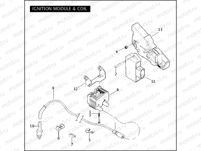 IGNITION MODULE & COIL