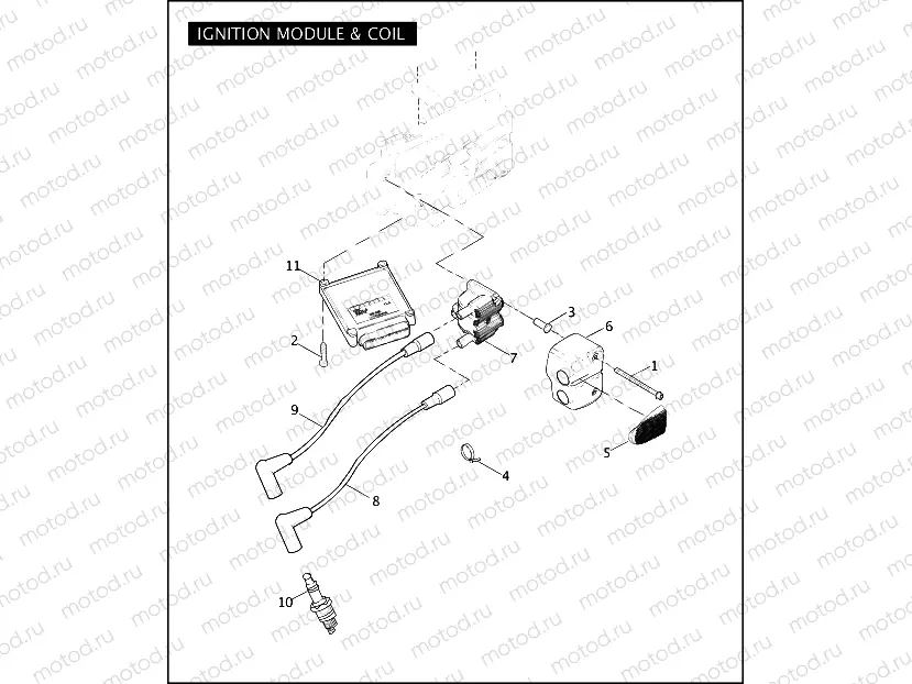 IGNITION MODULE & COIL