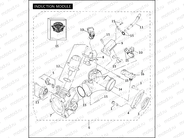 INDUCTION MODULE