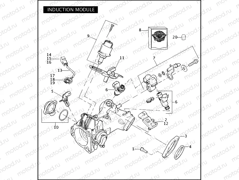 INDUCTION MODULE