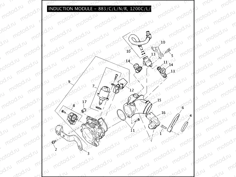 INDUCTION MODULE - 883/C/L/N/R, 1200C/L/N/R