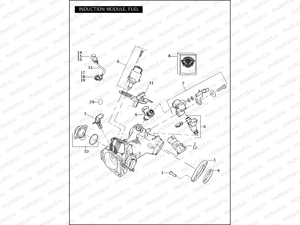 INDUCTION MODULE FUEL