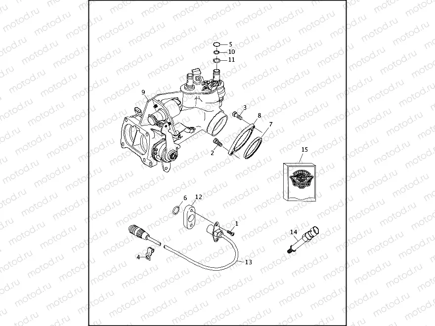 INDUCTION MODULE - FUEL INJECTED