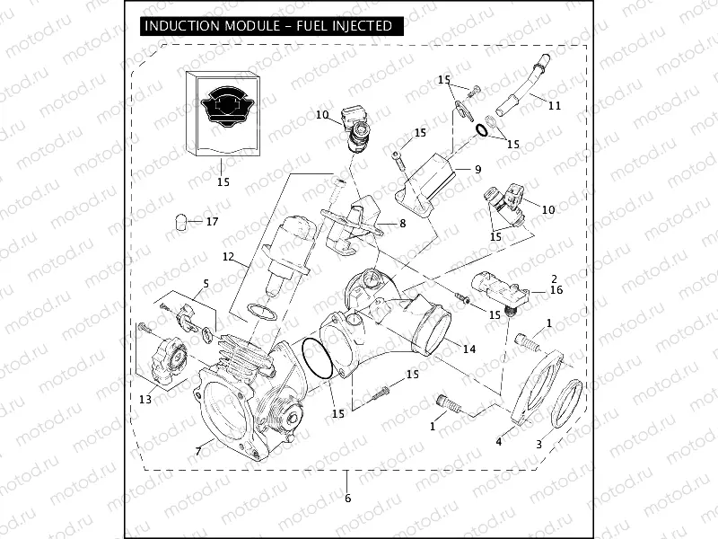 INDUCTION MODULE - FUEL INJECTED