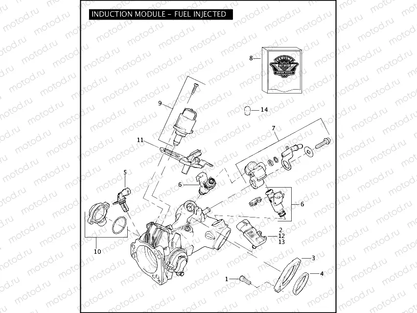 INDUCTION MODULE - FUEL INJECTED