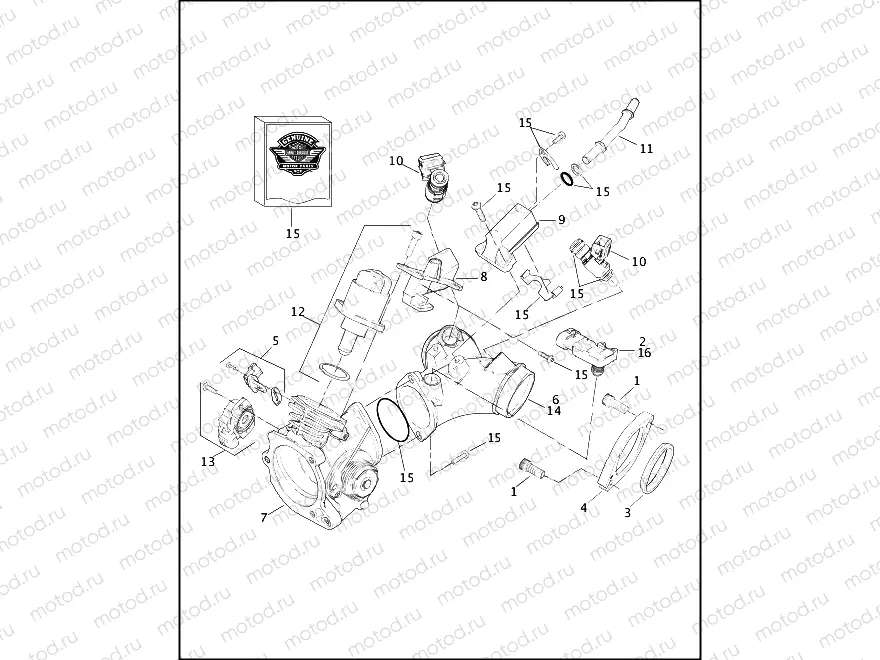 INDUCTION MODULE - FUEL INJECTED MODELS