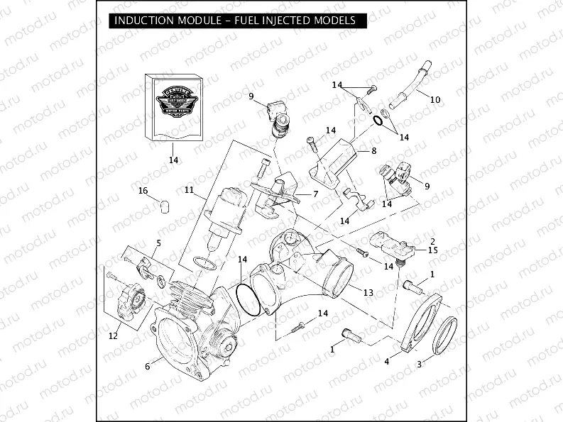 INDUCTION MODULE - FUEL INJECTED MODELS