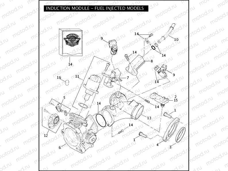 INDUCTION MODULE - FUEL INJECTED MODELS