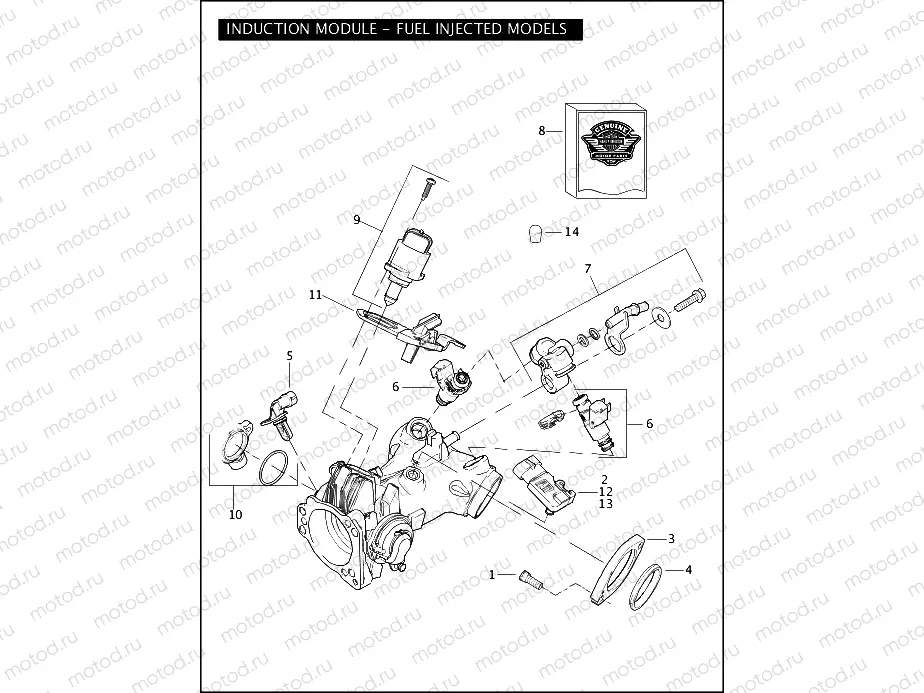 INDUCTION MODULE - FUEL INJECTED MODELS