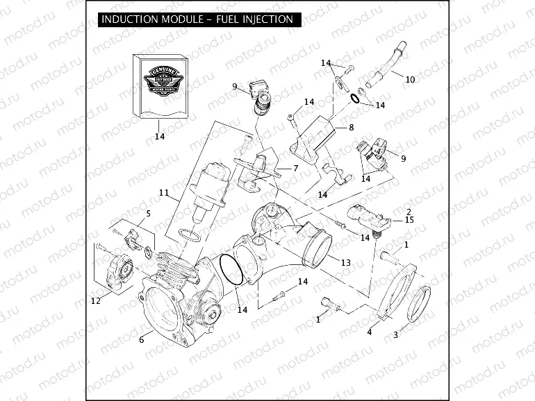 INDUCTION MODULE - FUEL INJECTION