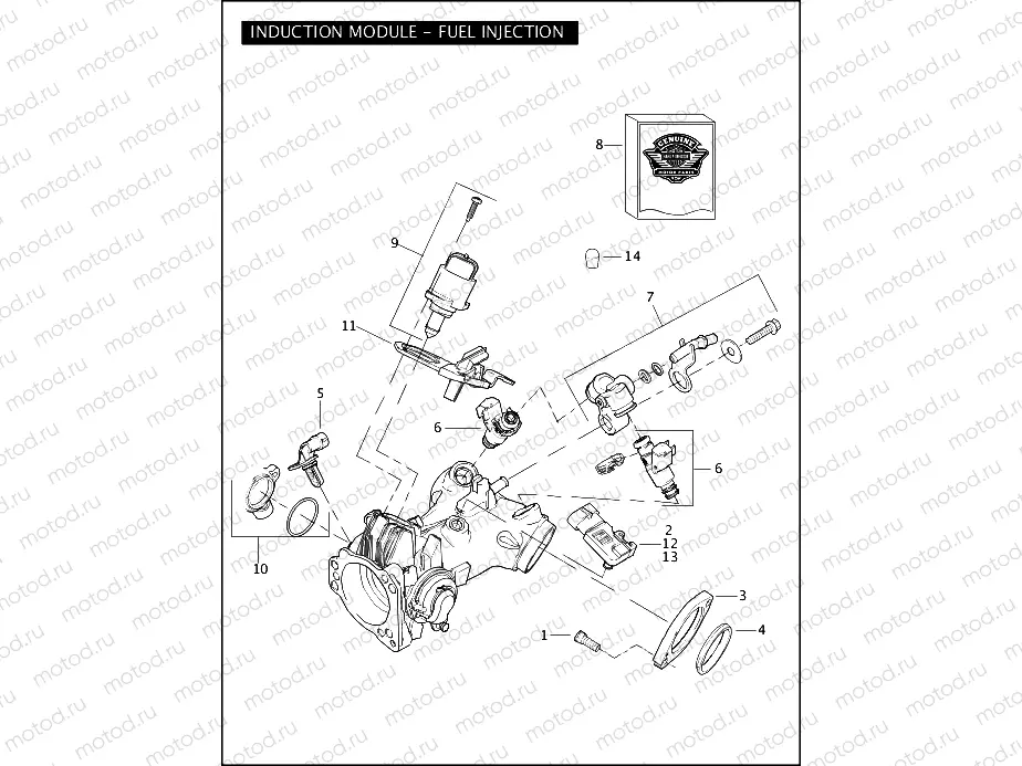 INDUCTION MODULE - FUEL INJECTION
