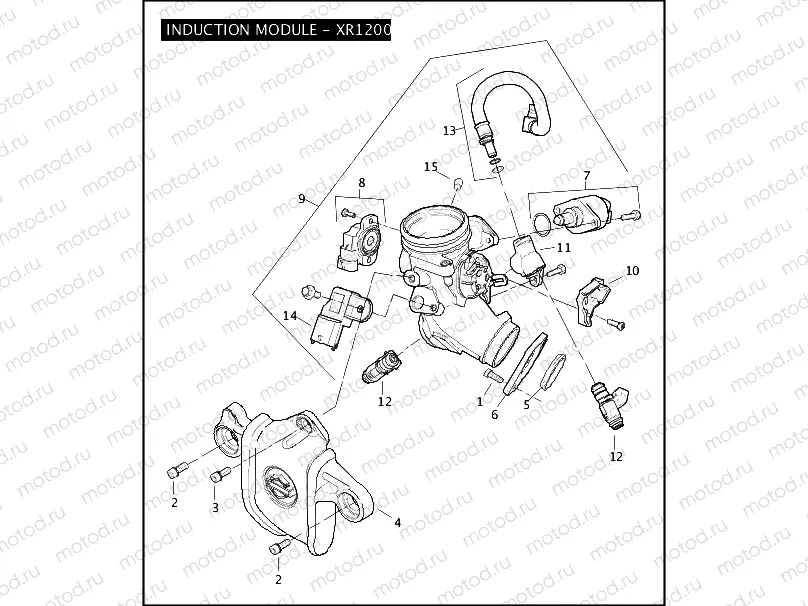 INDUCTION MODULE - XR1200