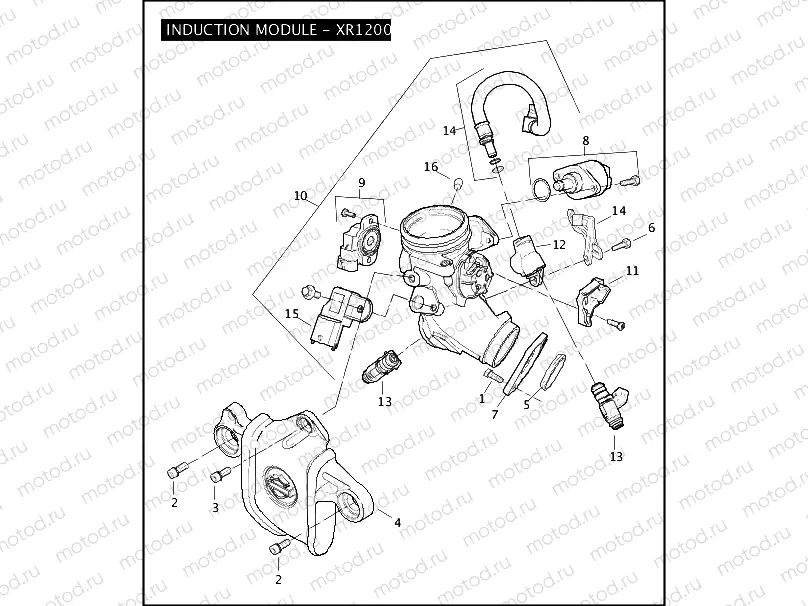 INDUCTION MODULE - XR1200